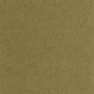 Vegetals carta da partati